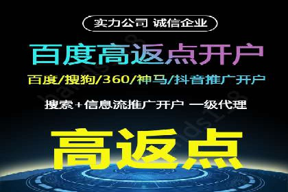 网络推广竞价策略解析与应用案例